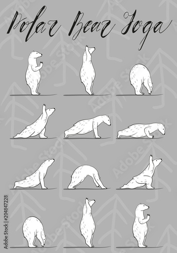 funny yoga with polar bear, fitness white bears, yoga poses, Surya Namaskara meditation. Ashtanga vinyasa yoga poses