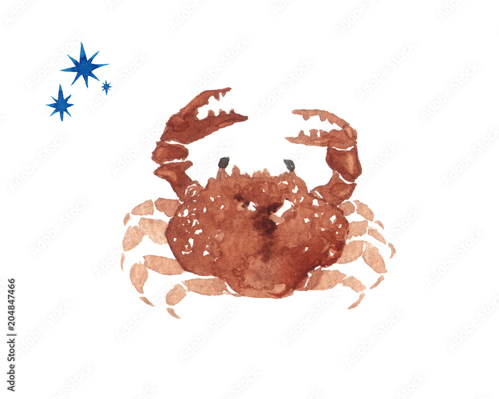 十二星座蟹座水彩イラストstock Illustration Adobe Stock 十二星座蟹座水彩イラストstock Illustration Adobe Stock