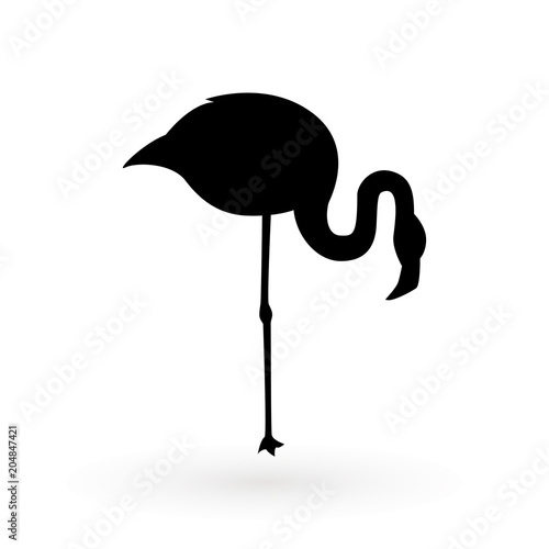 Pink flamingo . Vector illustration .Isolated on white background. Bird illustration design on background.