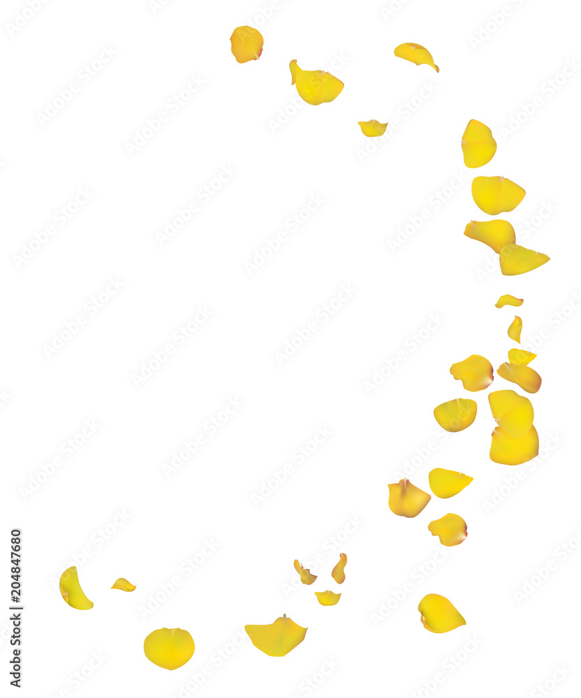Yellow roses petals are falling down. Spring postcard. Floral background vector illustration. Yellow roses petals are falling down. Spring postcard. Floral background vector illustration.
