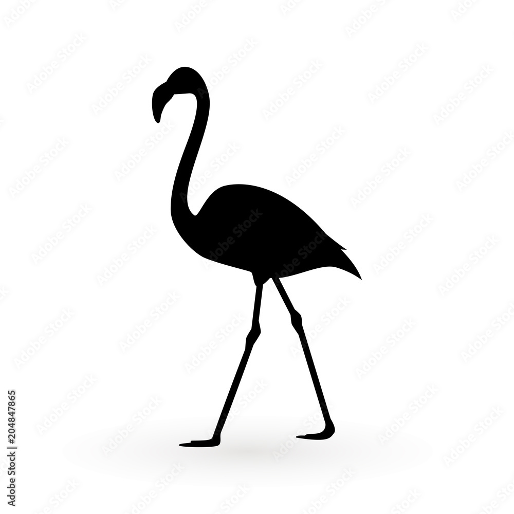Obraz premium Pink flamingo . Vector illustration .Isolated on white background. Bird illustration design on background.