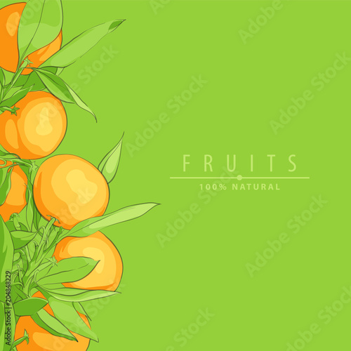 Ripe fresh oranges