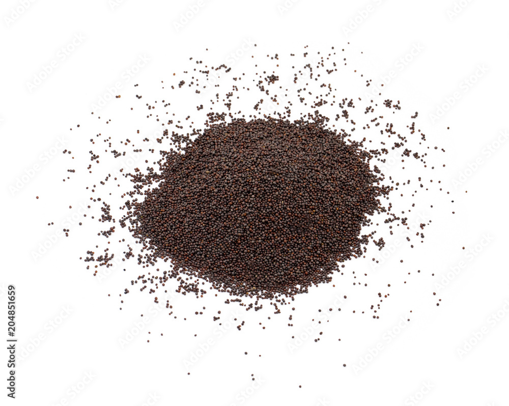 Brown Mustard Seeds Also Know as Rai Spice isolated on White Background Brown Mustard Seeds Also Know as Rai Spice isolated on White Background