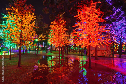 Tablou pe pânză Artificial forest in Shah Alam,Malaysia