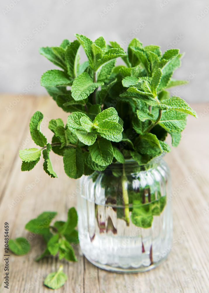 Fresh mint in a glass Fresh mint in a glass