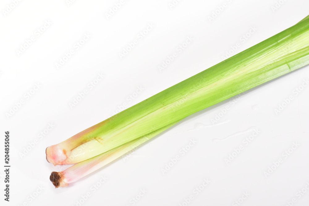 菖蒲の葉 菖蒲の葉