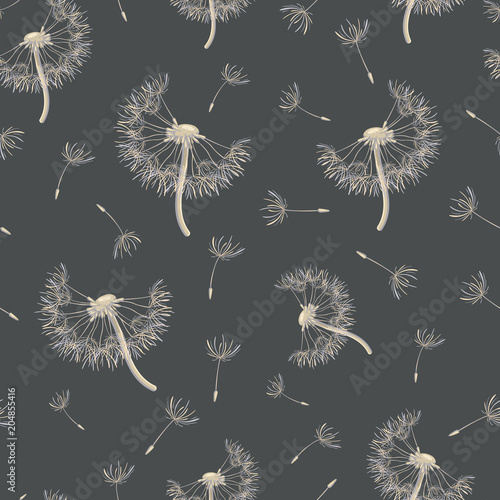 Seamless pattern with dandelions on a dark background