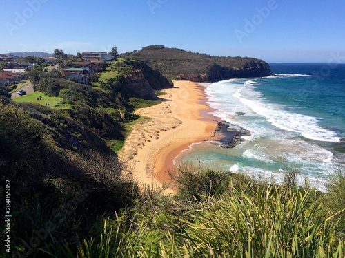 View of North Narrabeen beach from headland photo