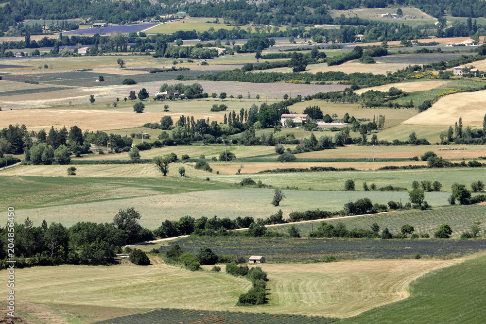 Fototapeta premium Patchwork of Farmer's fields in valley below Sault, Provence France