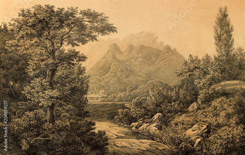 Nature of South America.
