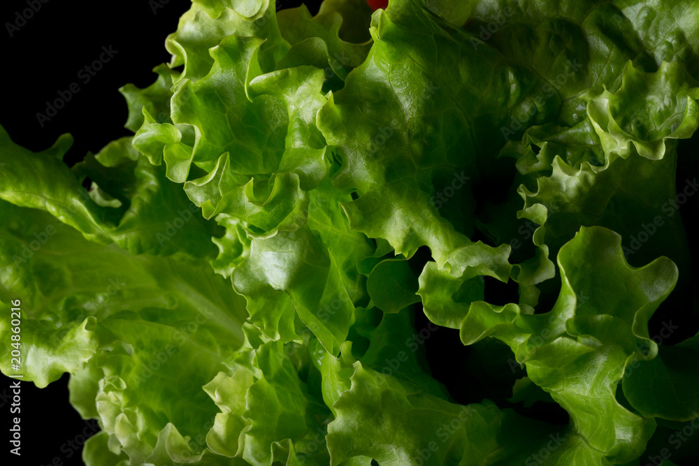 Fresh green salad on a black background Fresh green salad on a black background