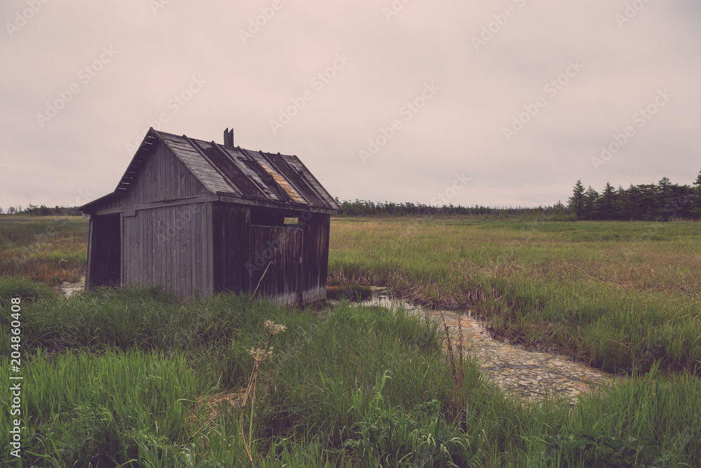 Summer landscape of Sakhalin island. Toned Summer landscape of Sakhalin island. Toned