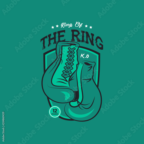 Boxing Gloves Illustration
