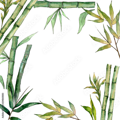 Fototapeta Naklejka Na Ścianę i Meble -  Bamboo tree frame in a watercolor style. Aquarelle wild bamboo tree for background, texture, wrapper pattern, frame or border.