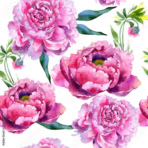 Wildflower peony pink flower pattern in a watercolor style. Aquarelle wildflower for background, texture, wrapper pattern, frame or border.