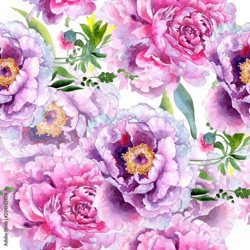 Wallpaper Mural Wildflower peony pink flower pattern in a watercolor style. Aquarelle wildflower for background, texture, wrapper pattern, frame or border. Torontodigital.ca