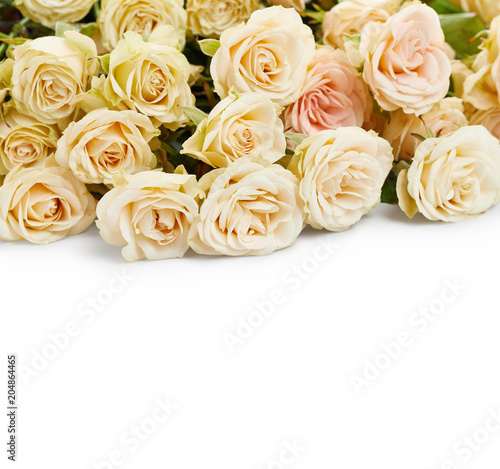 Bouquet of roses isolated on white background