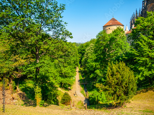 Photography Deer's Moat at Prague Castle, Prague, Czech Republic.