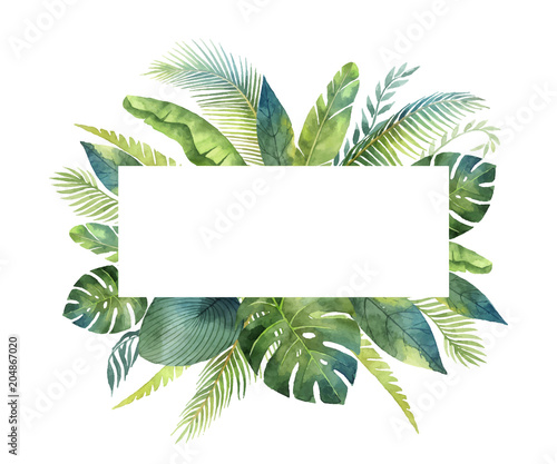 Watercolor vector banner tropical leaves and branches isolated on white background.
