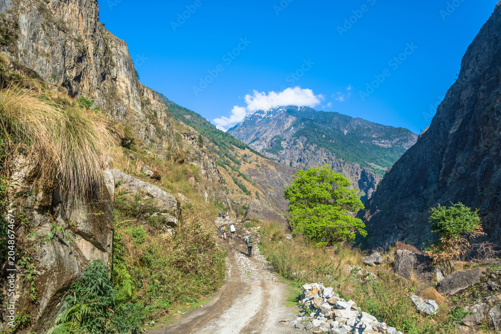 Tourists on a mountain road in the Himalayas.