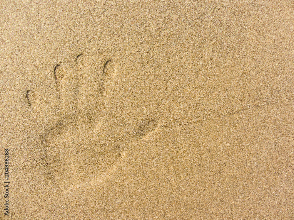 playing with sand long the shoreline playing with sand long the shoreline