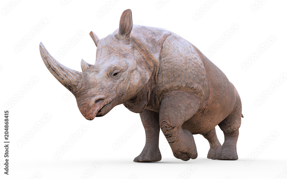 Fototapeta premium 3d Illustration Large White Rhinoceros Isolated on White Background with Clipping Path.
