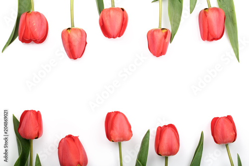 Beautiful red tulips on white background with copy space for text. Top view, flat lay