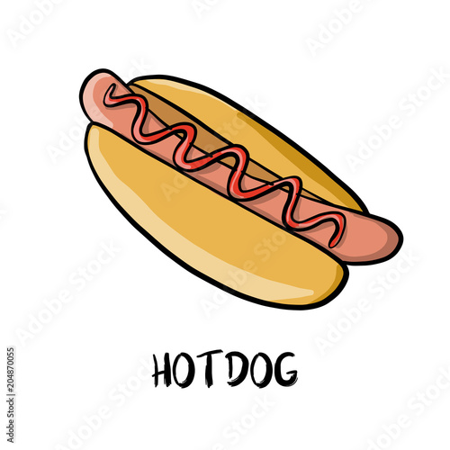 vector drawing hotdog