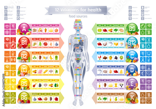 Mineral Vitamin supplement, human female body, food, Health benefit banner, flat vector icon set text letter logo. Table illustration poster, medicine chart. Diet balance medical Infographic diagram