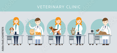 Male & Female Veterinarian Checkup Pets, Cats and Dogs, Vaccination, Clinic