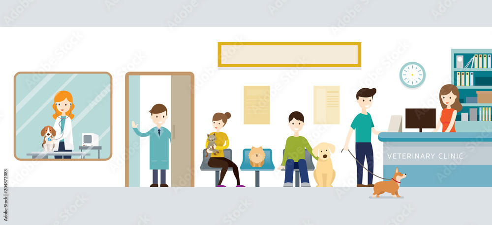 People in Veterinary Clinic, Cats and Dogs, Pets, Hospital People in Veterinary Clinic, Cats and Dogs, Pets, Hospital