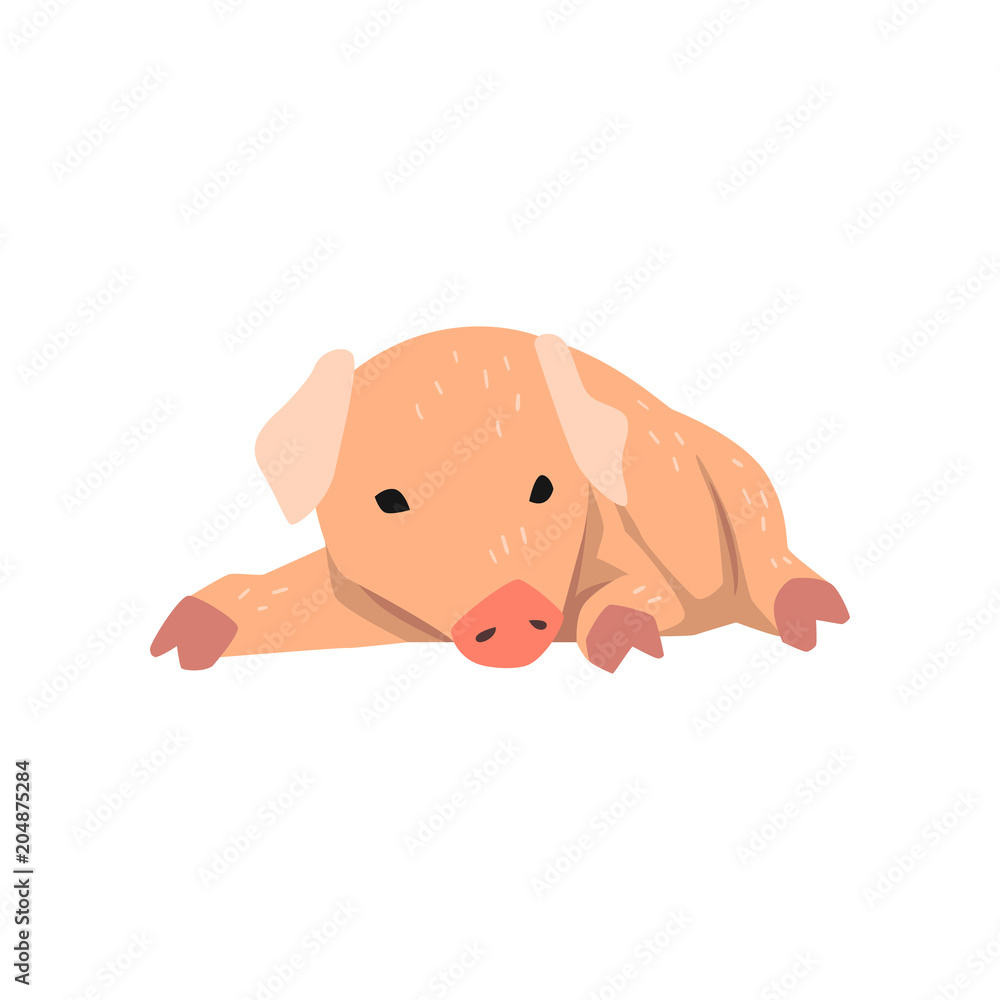 Obraz premium Cute cartoon little pig lying on the floor vector Illustration on a white background