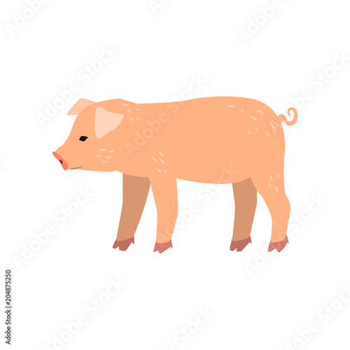 Cute cartoon little pig standing, side view vector Illustration on a white background