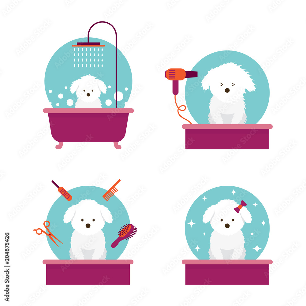 Fototapeta premium Dog in Grooming Shop or Salon, Bathing, Cutting, Combing, Hair Drying, Beauty