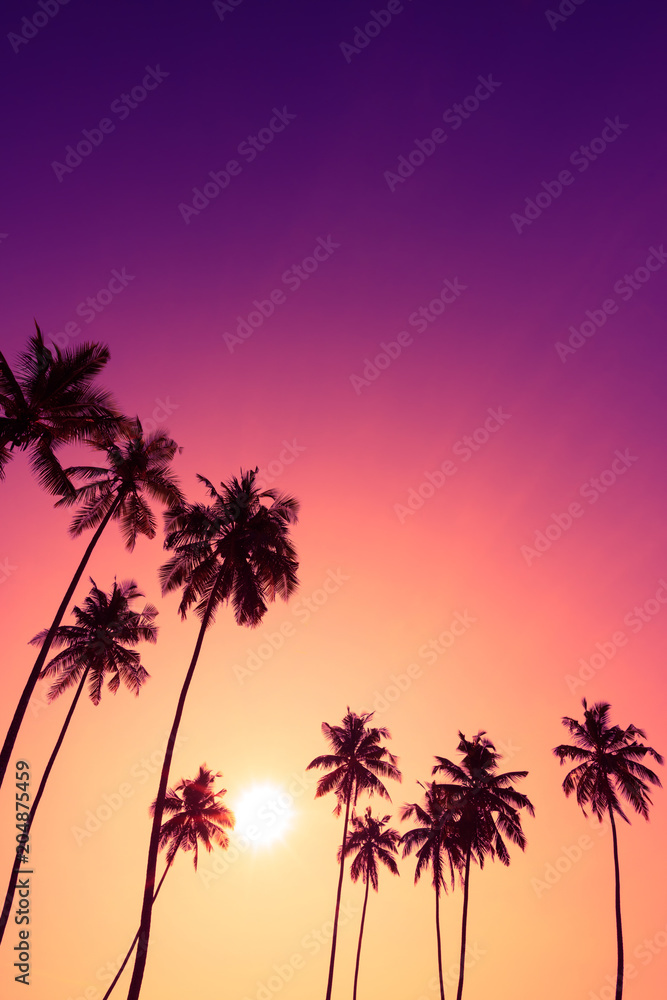 Obraz premium Beautiful colorful tropical sunset with coconut palm trees silhouettes vertical with copy space