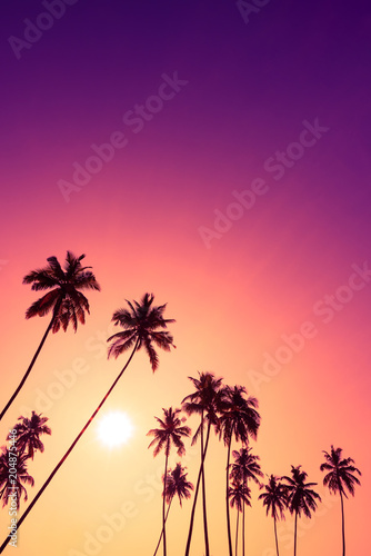 Fototapeta Naklejka Na Ścianę i Meble -  Beautiful vivid tropical sunset with palm trees silhouettes and sky as copy space place