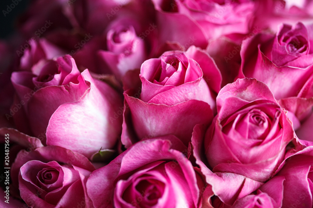 Close-up macro photo of bouquet of roses Close-up macro photo of bouquet of roses