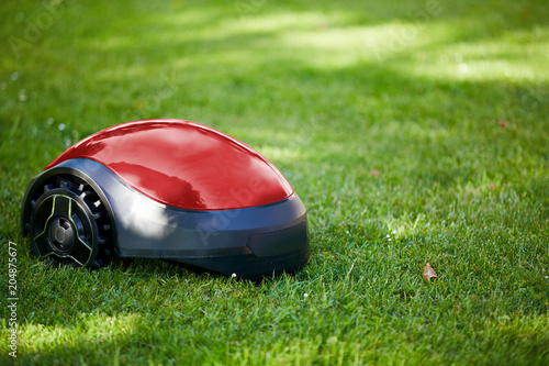 Robot lawn mower on summer meadow in the garden