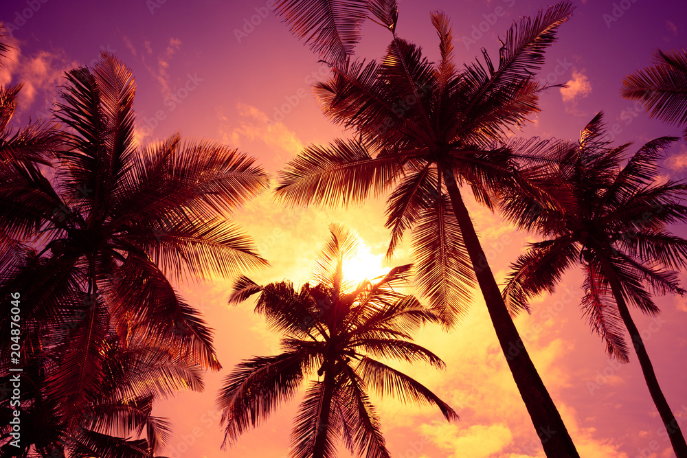 Fototapeta premium Tropical sunset beach vivid sky and palm tree silhouettes