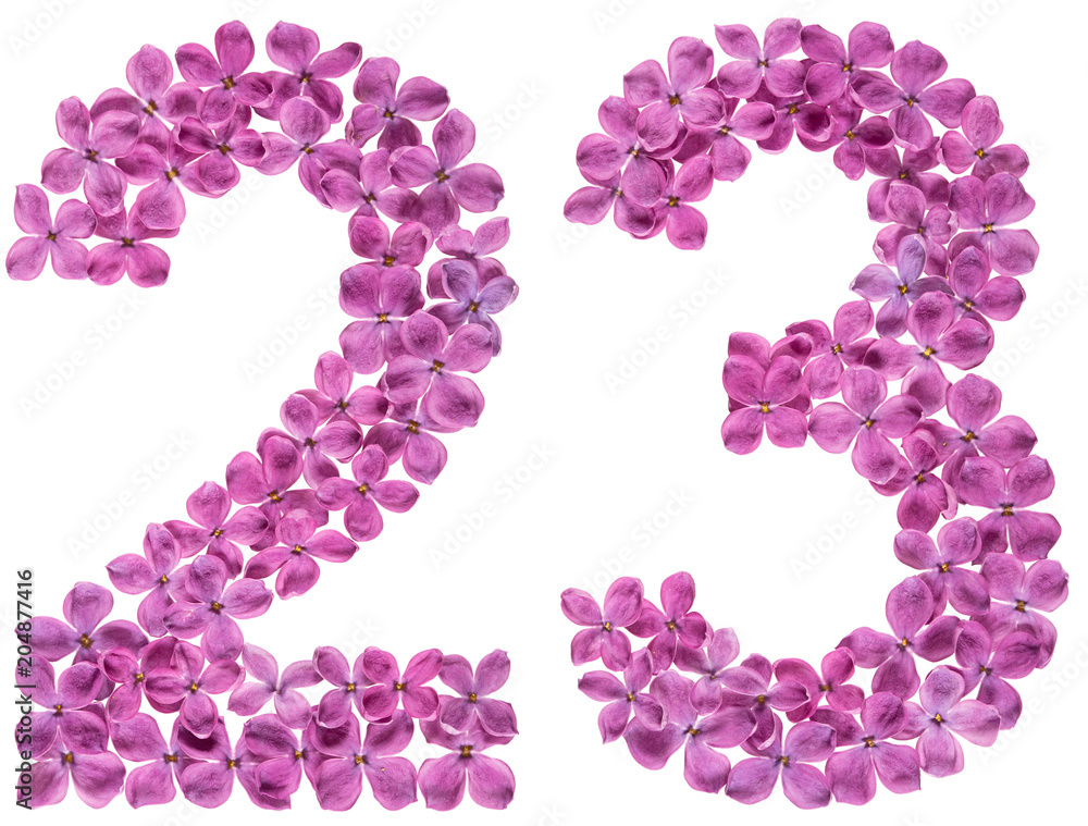 Arabic numeral 23, twenty three, from flowers of lilac, isolated on white background