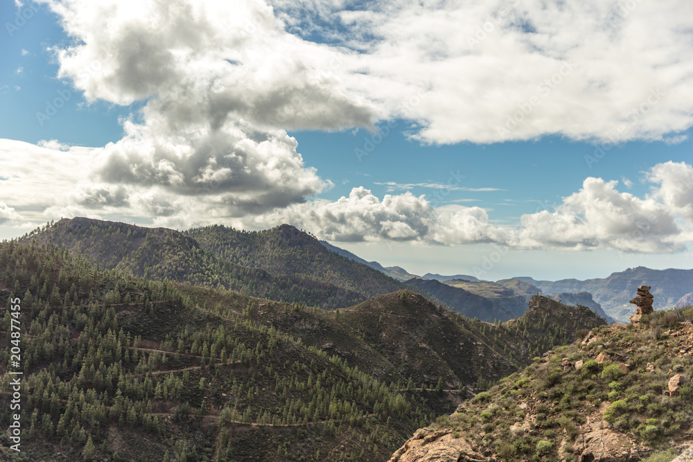 Naklejka premium Landschaft mit Wald und Gebirge in Gran Canaria