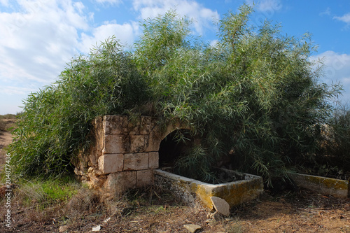 Quadro em tela Well of Reuven the son of the Jewish patriarch Jacob at Palmachim Beach, Israel