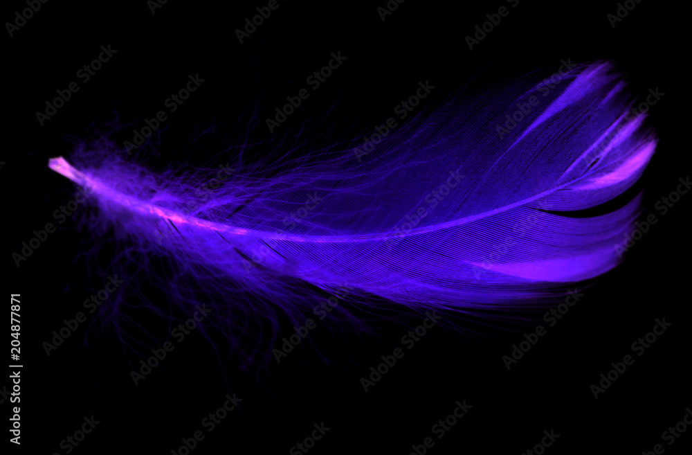 Naklejka premium Blue feather on a black background