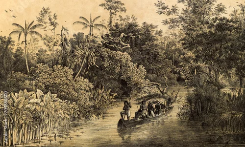 Obraz Natura Ameryki Południowej.