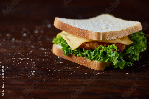 Tasty and fresh sandwiches on a dark wooden background, close-up