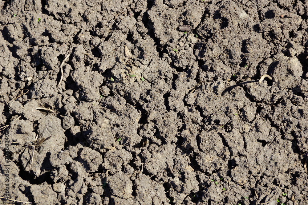 the texture of the soil ground background. dry ground cracks for a long time there was no rain the texture of the soil ground background. dry ground cracks for a long time there was no rain