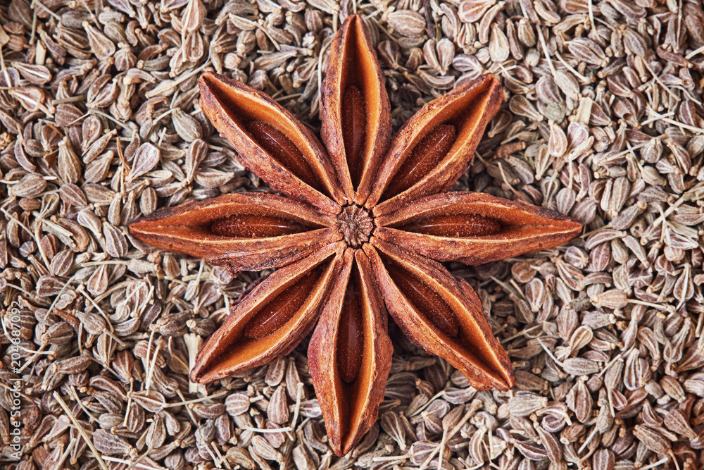 Star anise (Illicium verum) and anise seed, also known as aniseed (Pimpinella anisum). Top view