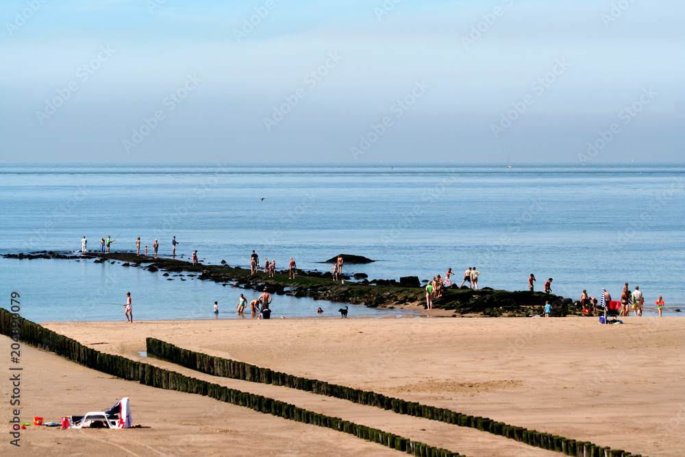 Fototapeta premium North sea beach and beach life of Westkapelle