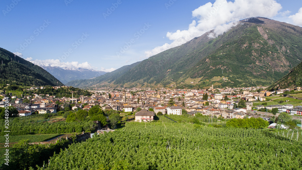 Vineyards and city of Tirano