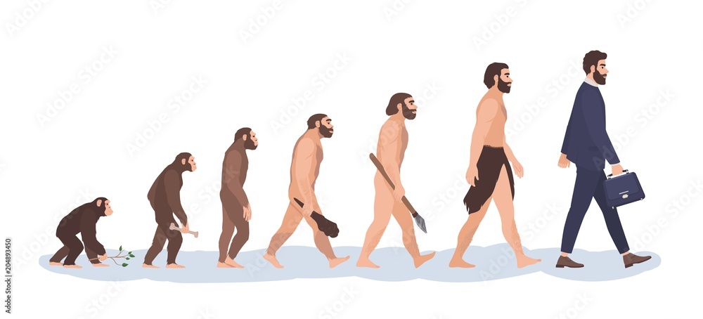 Vecteur Stock Human evolution stages. Evolutionary process and gradual ...